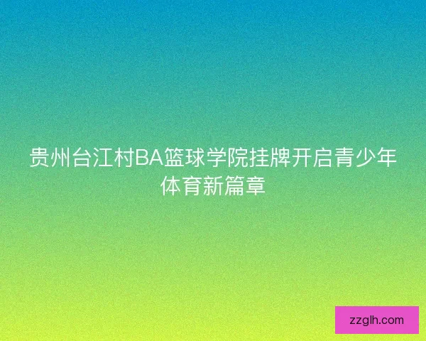 贵州台江村BA篮球学院挂牌开启青少年体育新篇章 贵州台江村BA篮球学院挂牌开启青少年体育新篇章