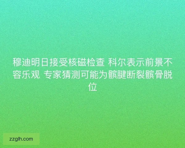 穆迪明日接受核磁检查 科尔表示前景不容乐观 专家猜测可能为髌腱断裂髌骨脱位